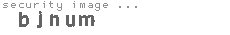 security image