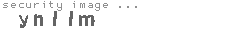 security image
