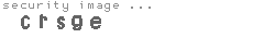 security image