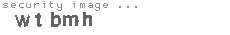security image