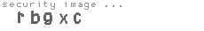 security image