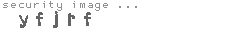 security image