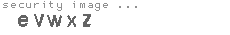 security image