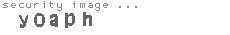 security image