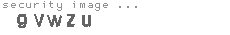 security image