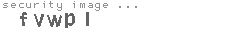 security image