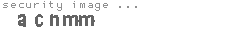 security image