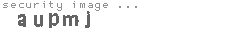 security image