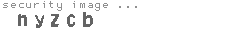 security image