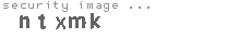security image