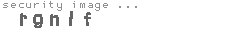 security image