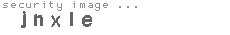 security image