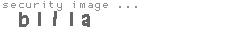security image