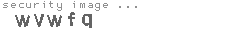 security image