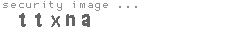 security image
