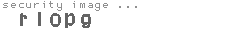 security image