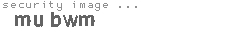 security image