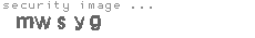 security image
