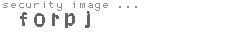 security image