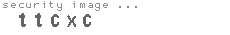 security image