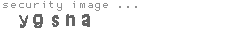 security image