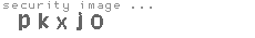 security image