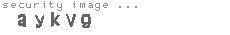 security image