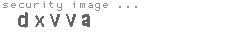 security image