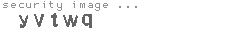 security image