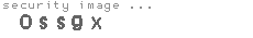security image
