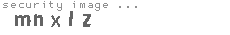 security image