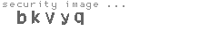 security image