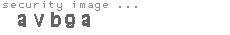 security image