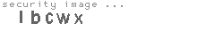 security image