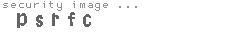 security image