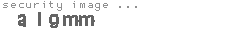 security image