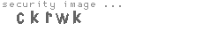 security image