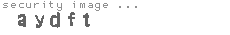 security image