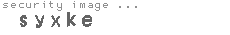 security image