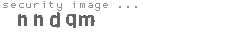 security image