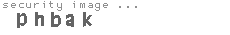 security image