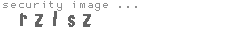 security image
