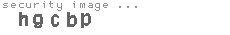 security image