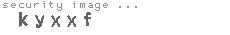 security image