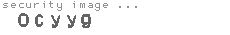 security image