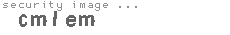 security image