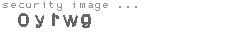 security image