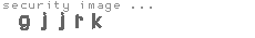 security image