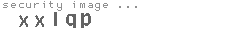 security image