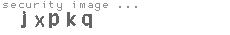 security image